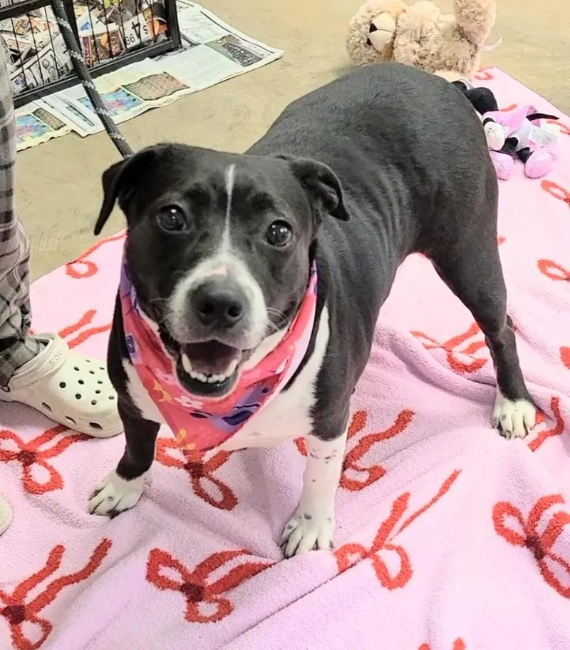 Sassy Girl thumbnail 5