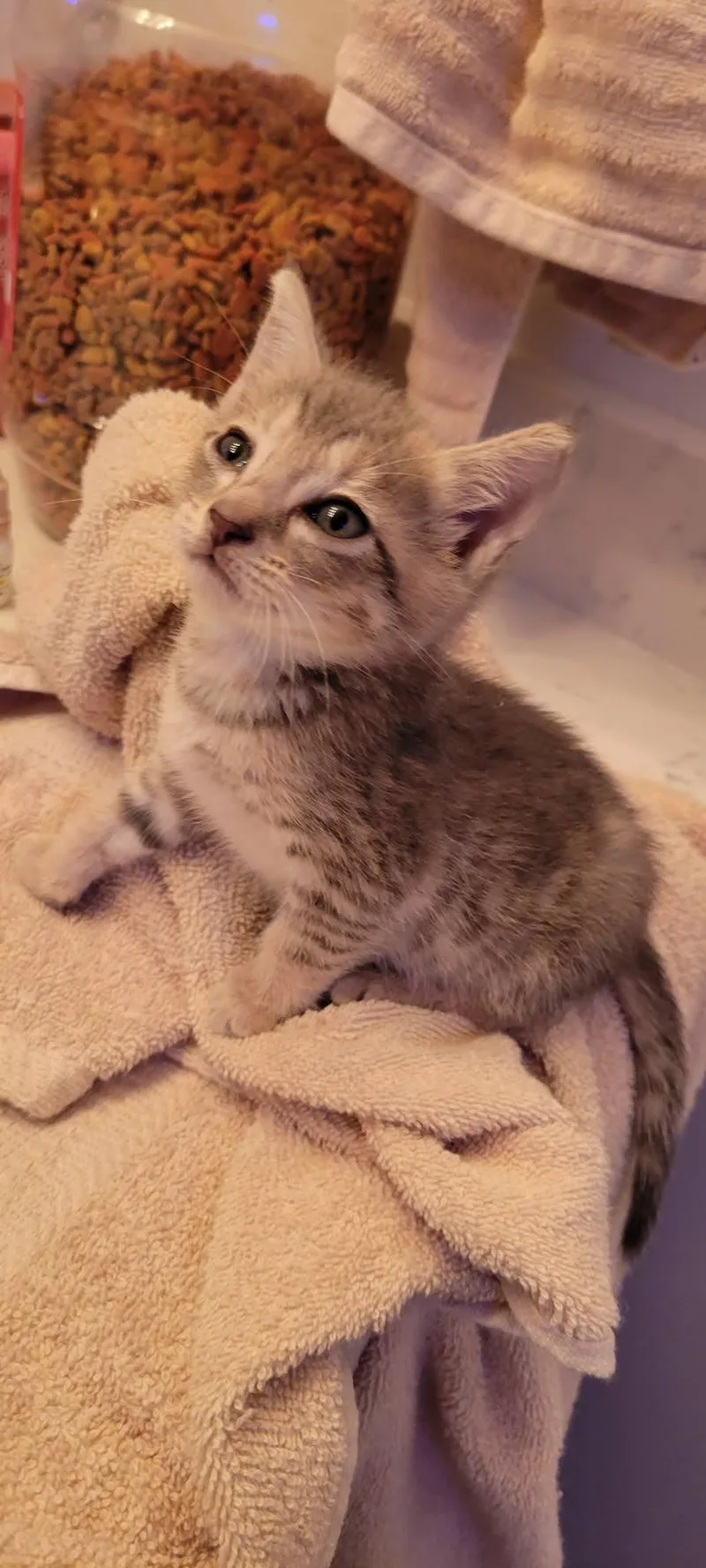 Nugget