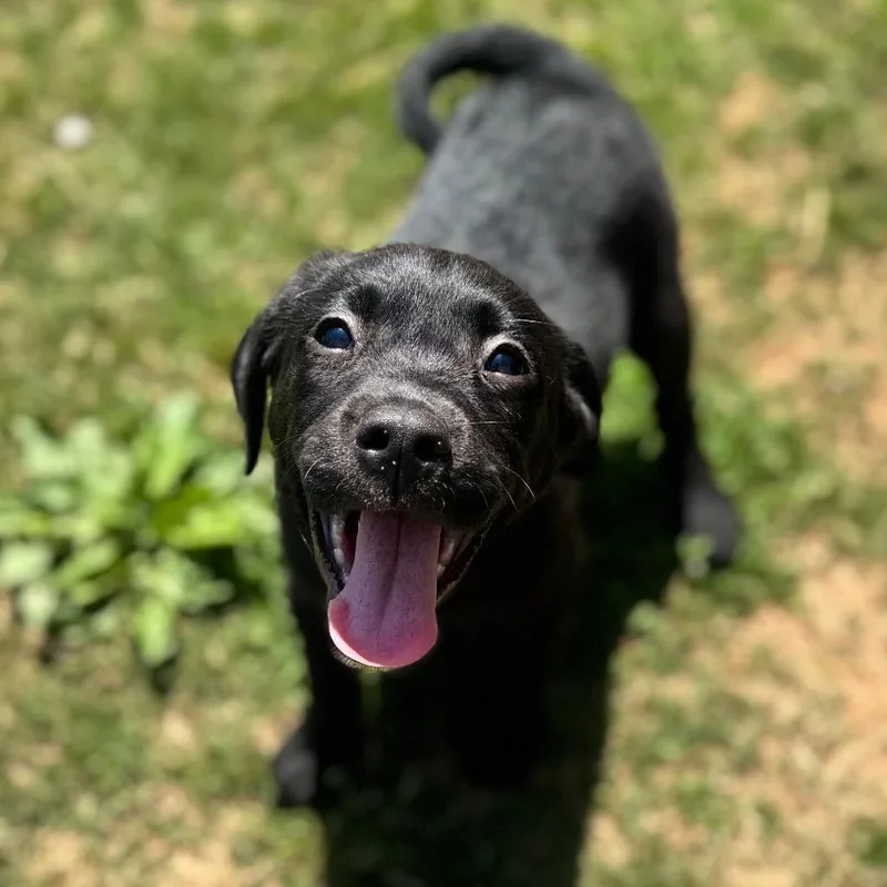 Mister Mister thumbnail 2