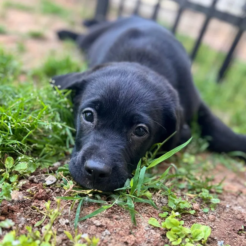 Mister Mister thumbnail 3