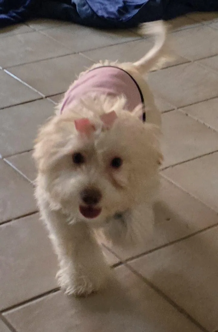 Penelope thumbnail 2