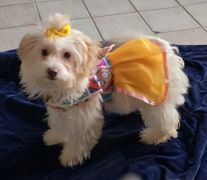 Penelope thumbnail 4