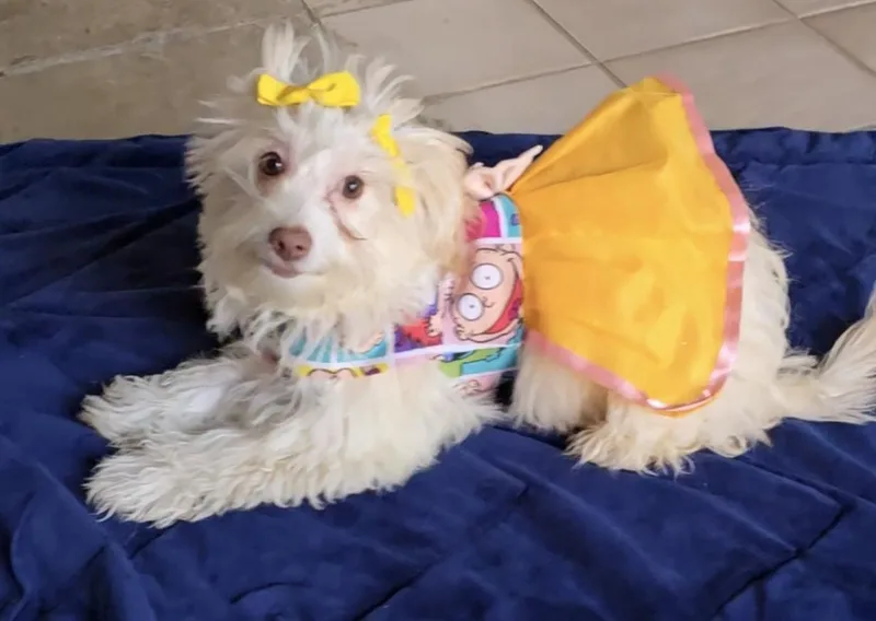 Penelope thumbnail 5