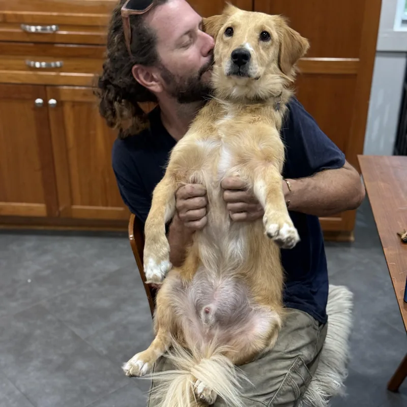 Tucker thumbnail 4