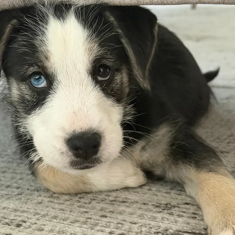 Gretchen thumbnail 2