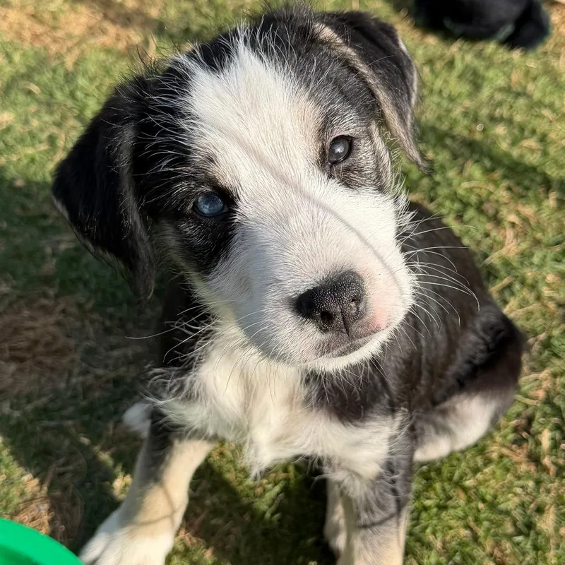 Gretchen thumbnail 3