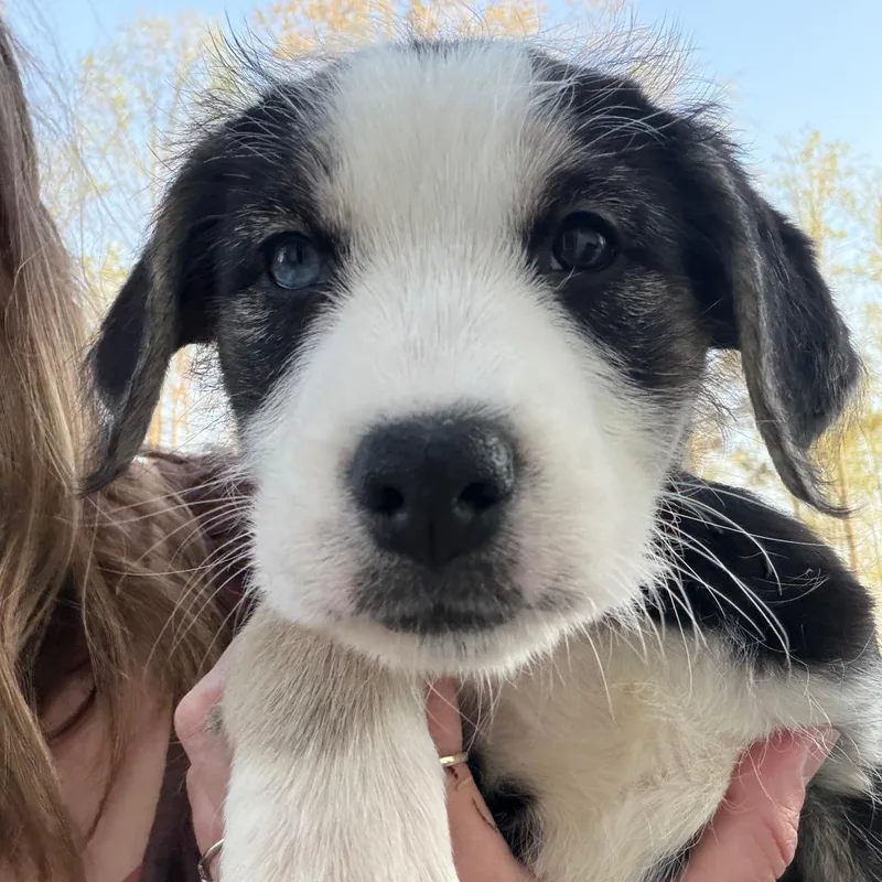 Gretchen thumbnail 4