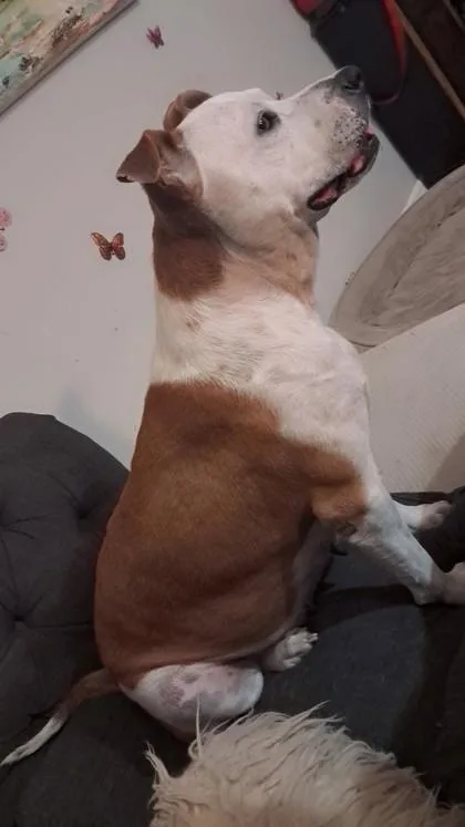 Sunshine thumbnail 2