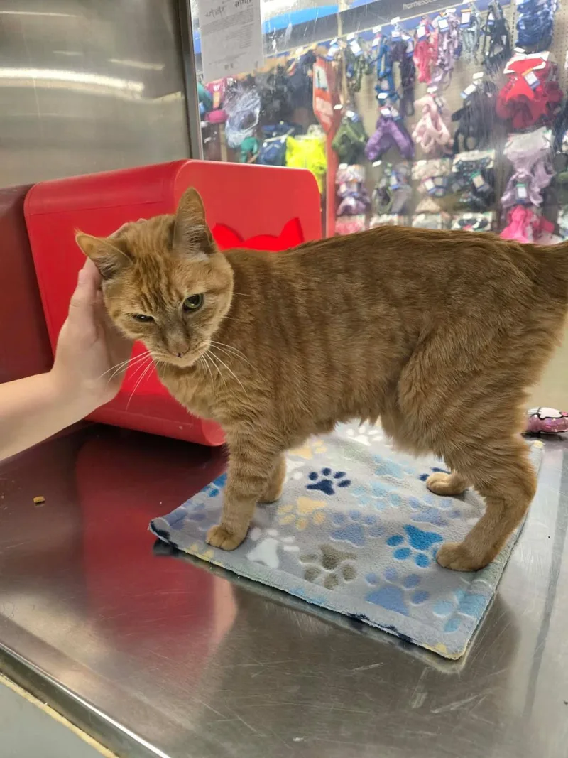 Jackie Marigold thumbnail 2