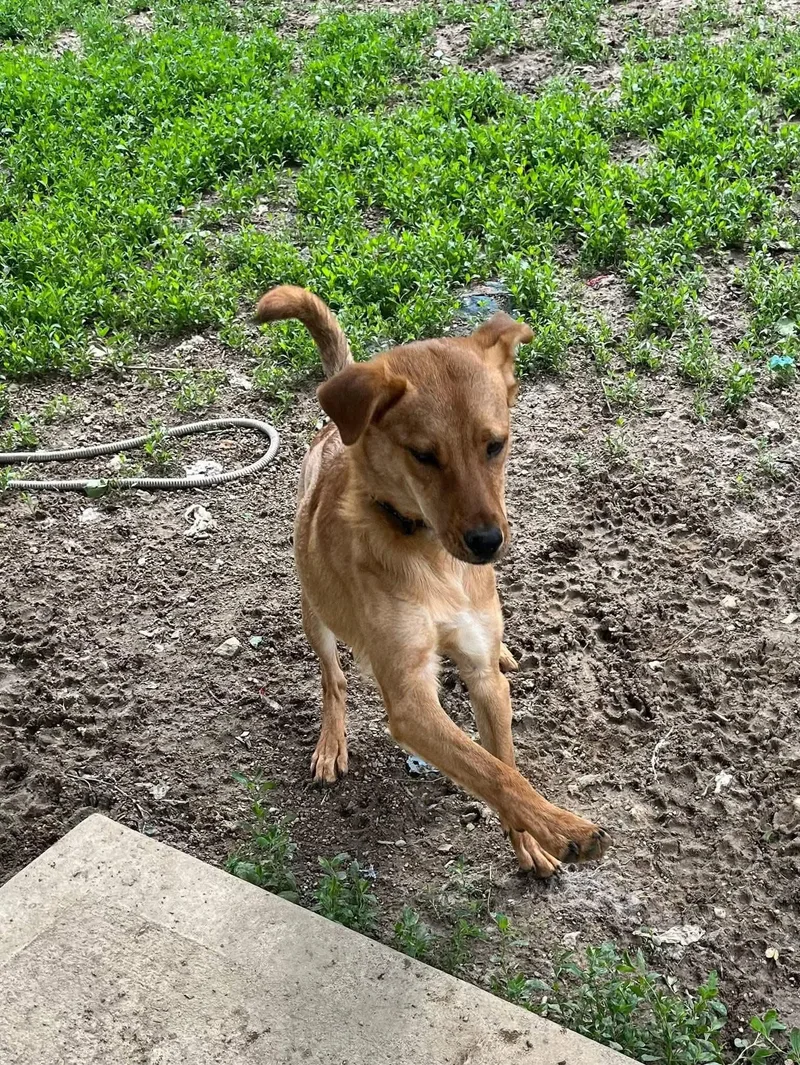 Maverick thumbnail 2