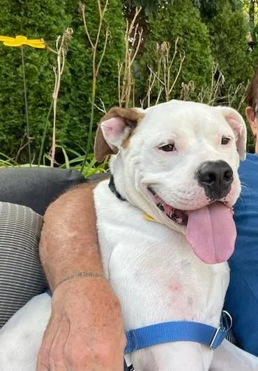 Wally Courtesy Cupid