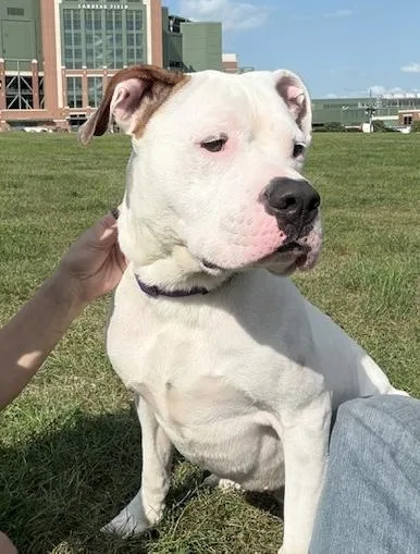 Wally Courtesy Cupid thumbnail 6