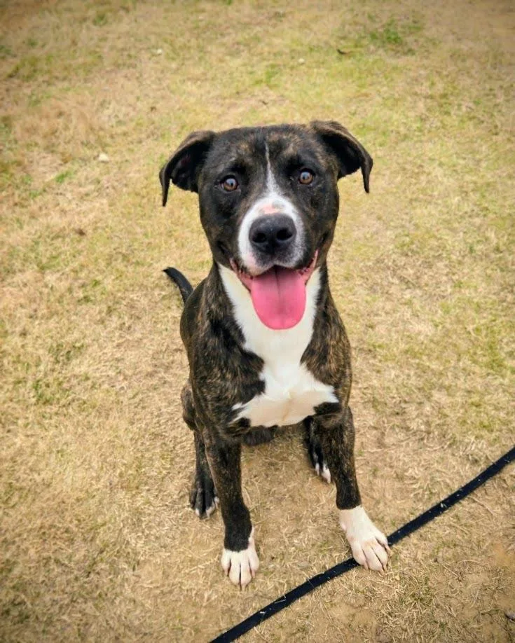 Poseidon thumbnail 2