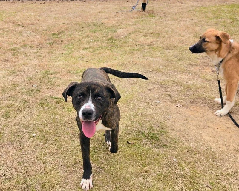 Poseidon thumbnail 3