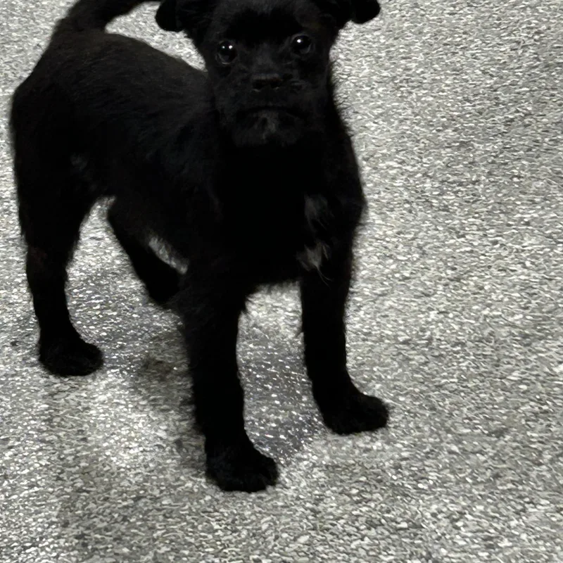 Oh Girl . Lbs thumbnail 2