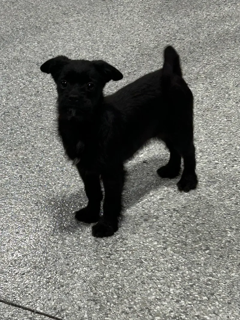 Oh Girl . Lbs thumbnail 3