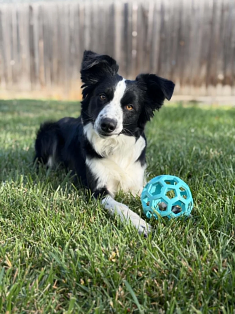 Astro