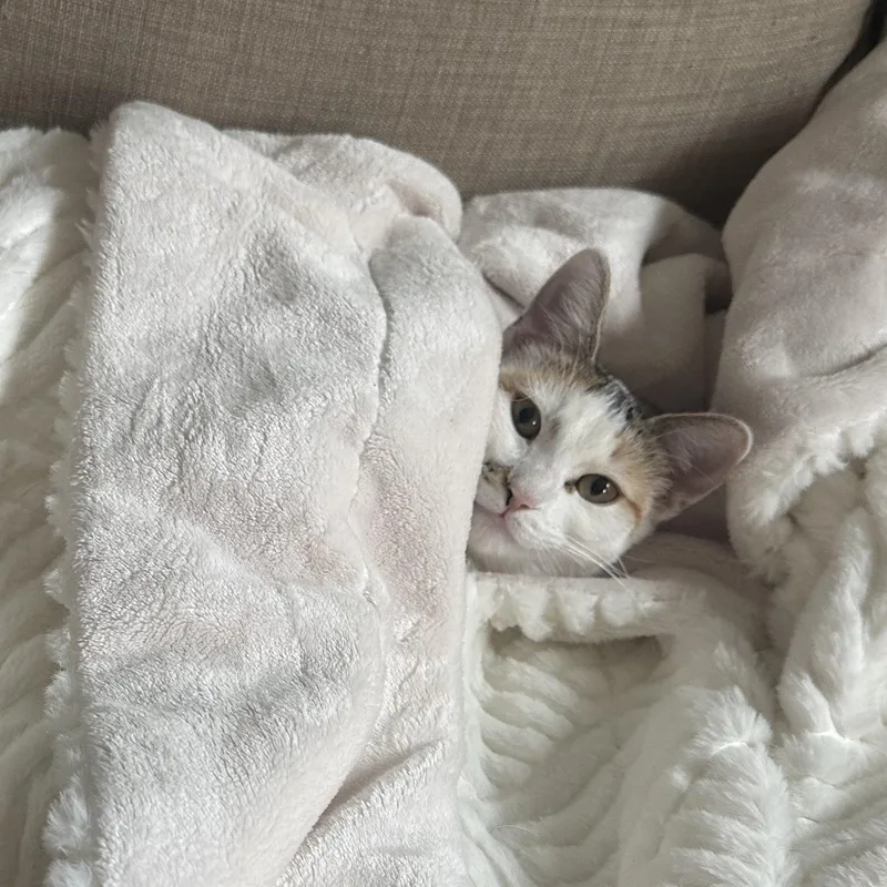 Mini And Bebe Indoor