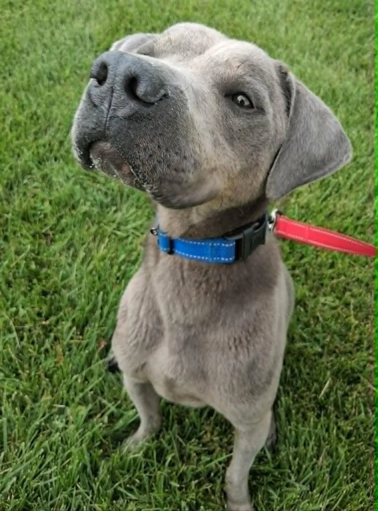 Smokey