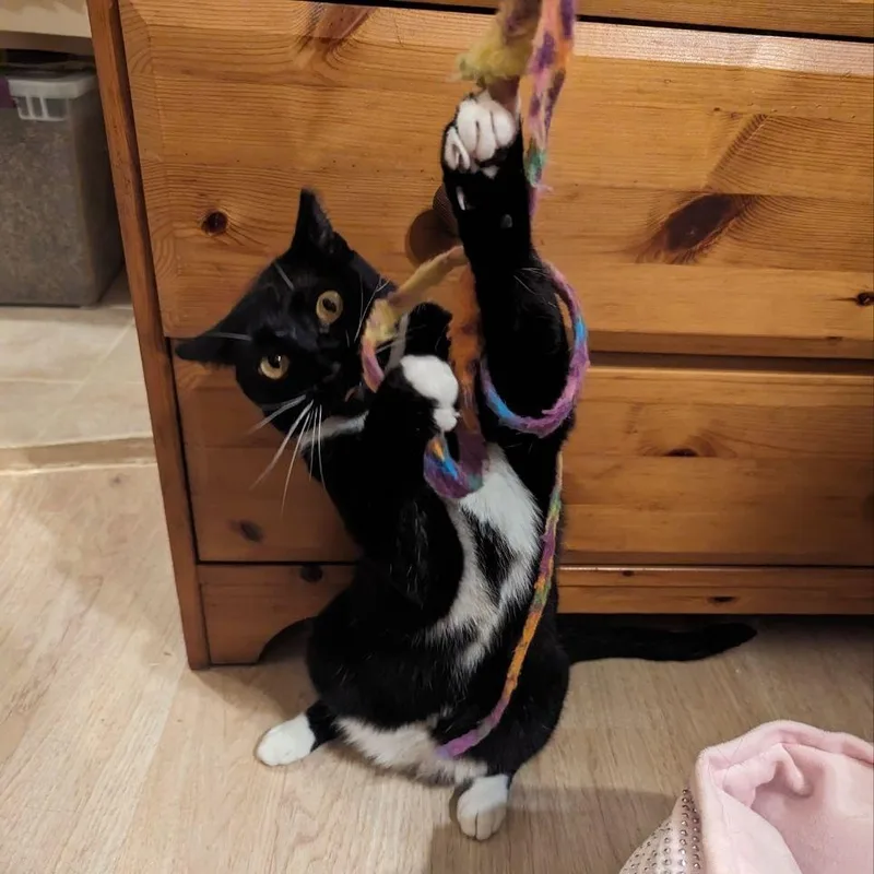 Twilight thumbnail 2