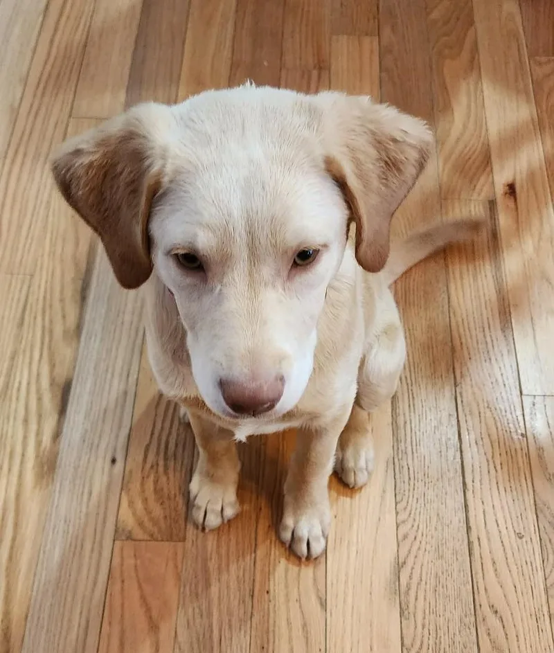 Sadie thumbnail 4