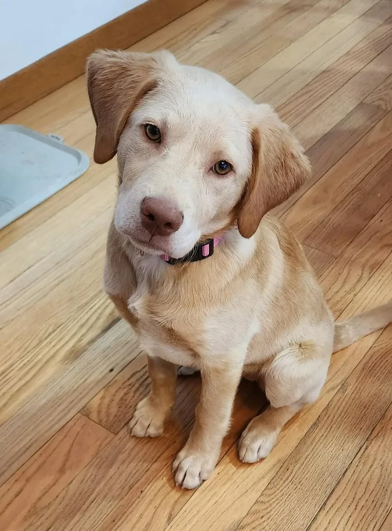 Sadie thumbnail 5