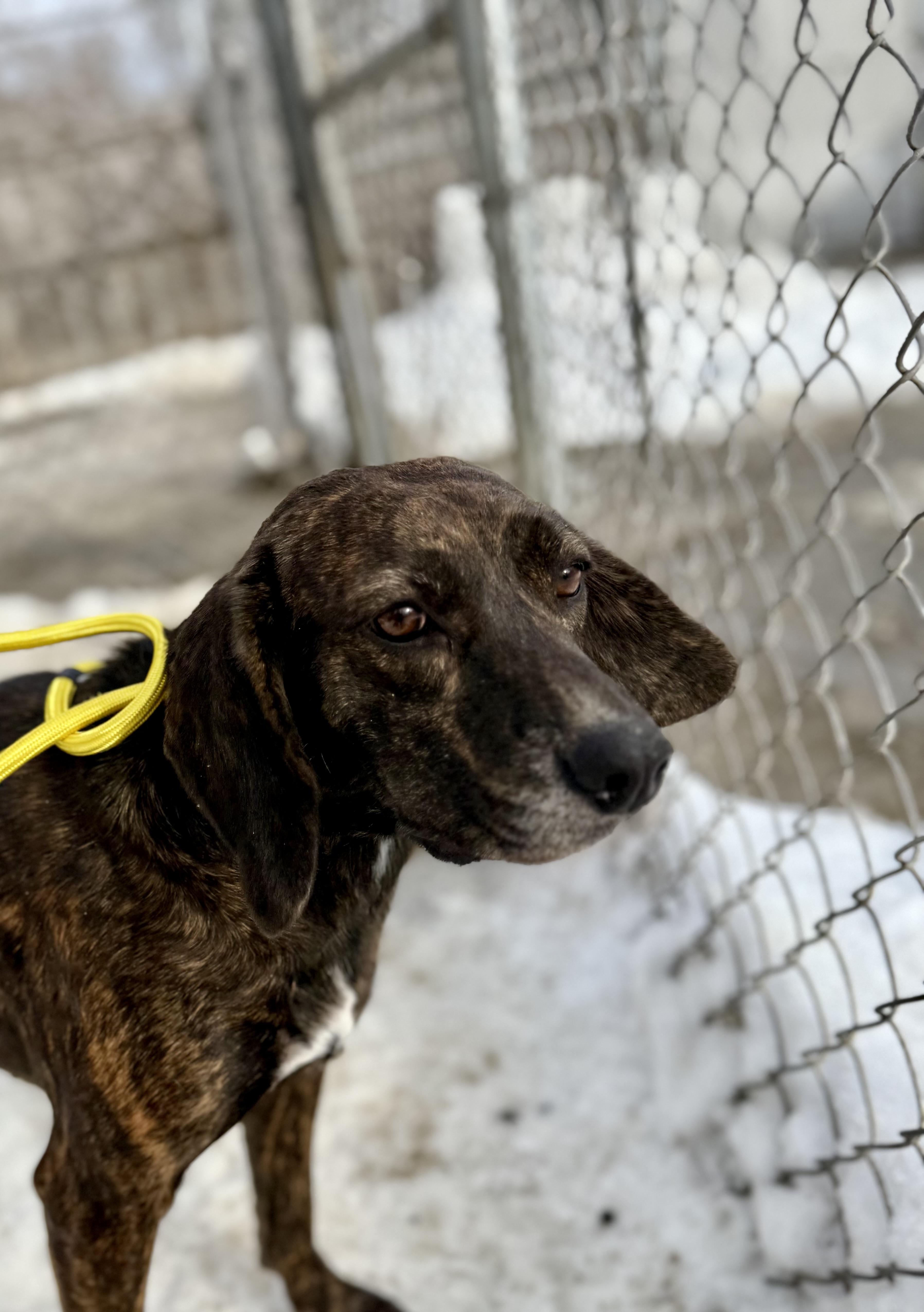 Cascade "cassie" thumbnail 2