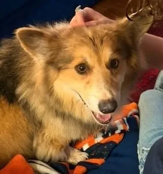 Tater Fluff thumbnail 2