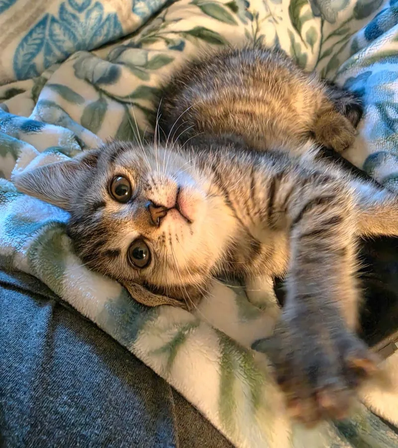Maggie thumbnail 3
