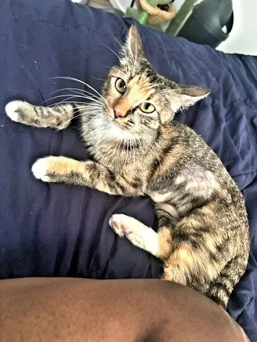 Cleo