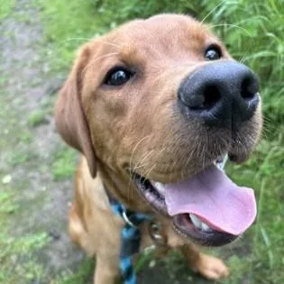 Cody thumbnail 3