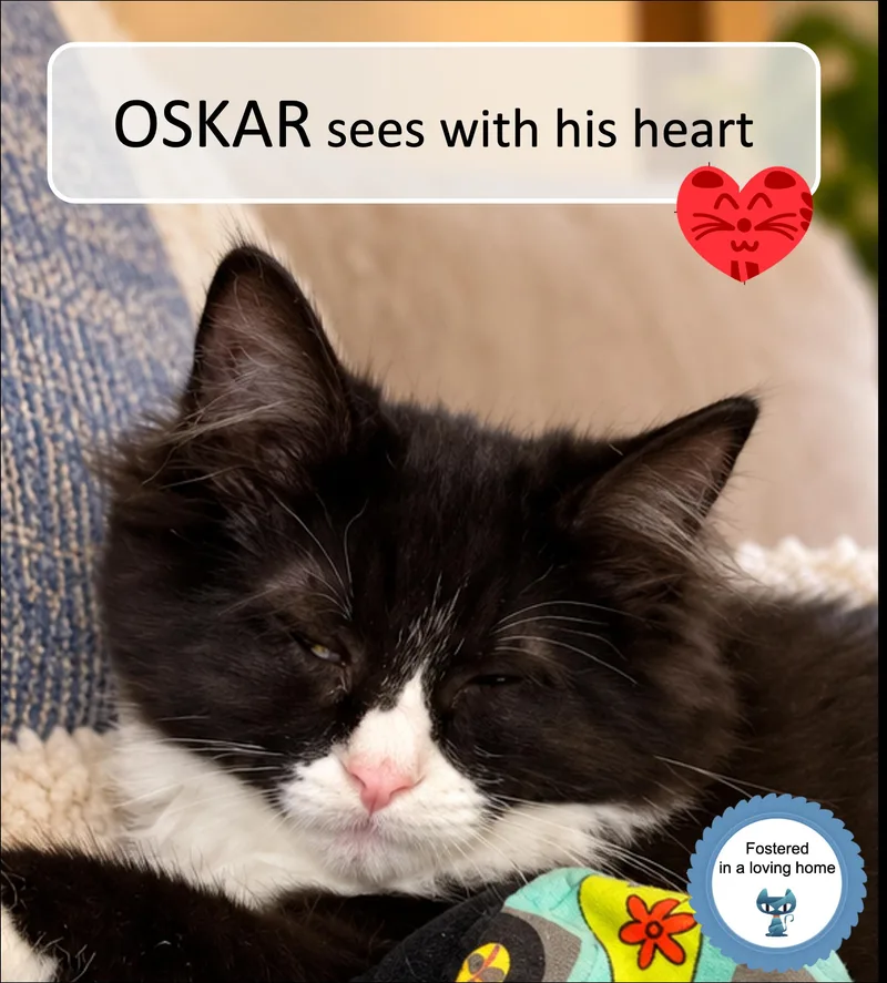 Oskar thumbnail 2