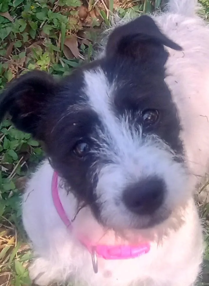 Penelope And Violet thumbnail 2