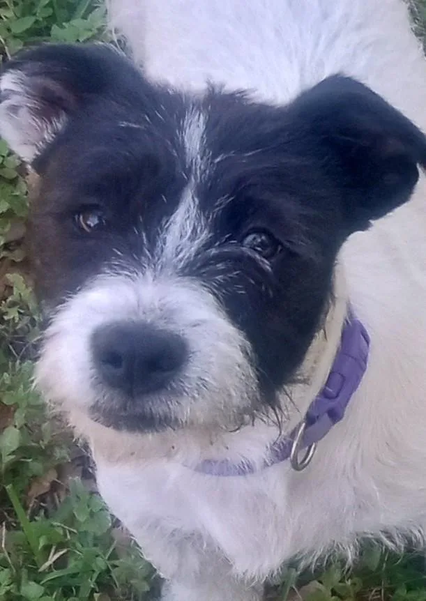 Penelope And Violet thumbnail 3