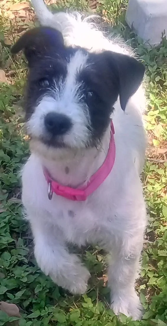 Penelope And Violet thumbnail 4