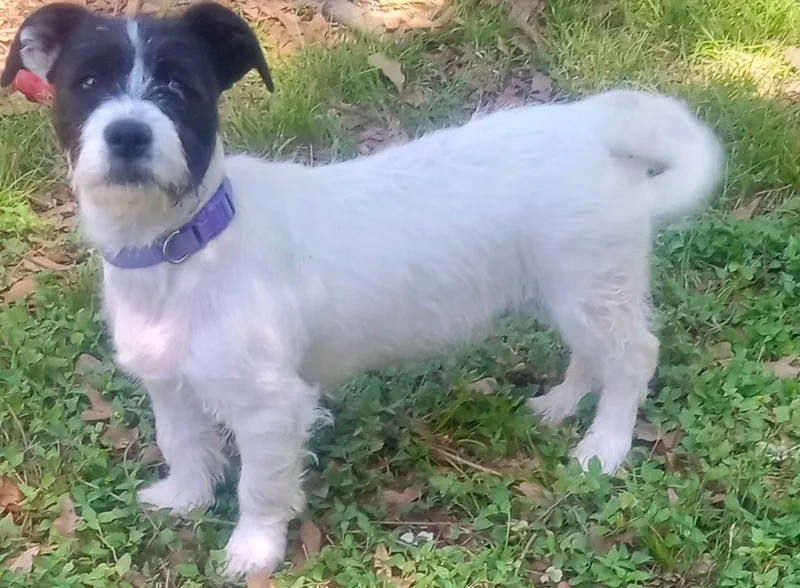 Penelope And Violet thumbnail 5