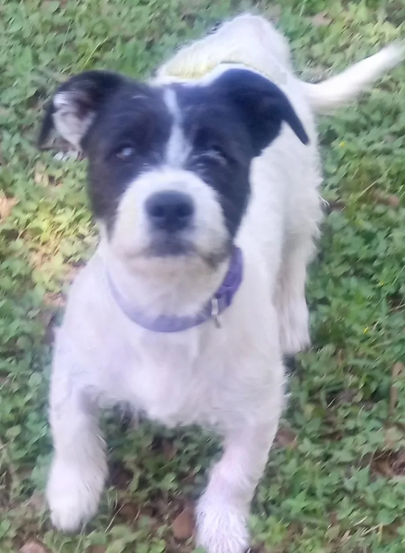 Penelope And Violet thumbnail 6