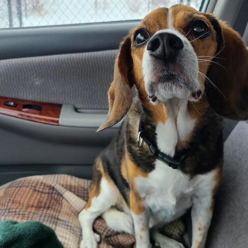 Pepper thumbnail 2