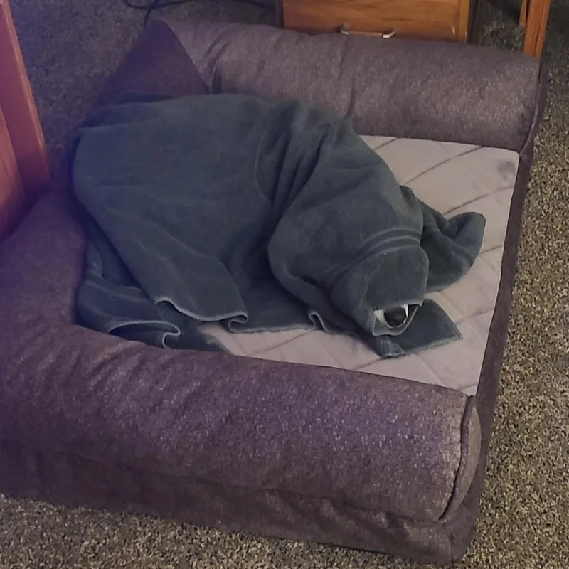 Pepper thumbnail 4