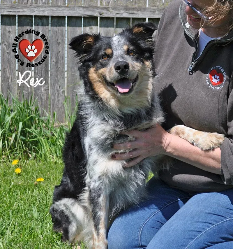 Rex