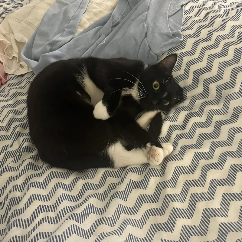 Little Bit thumbnail 2