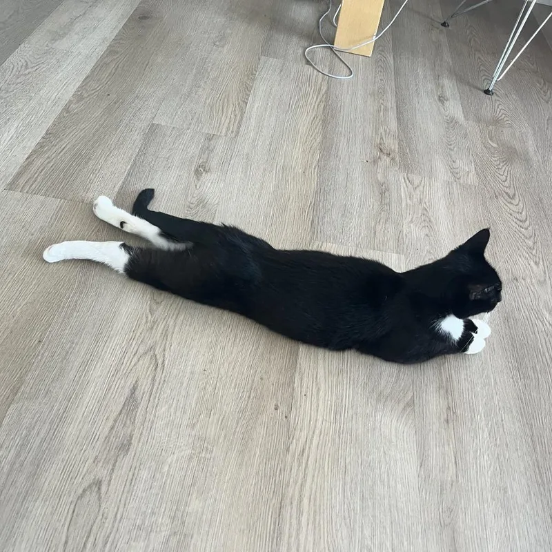 Little Bit thumbnail 3