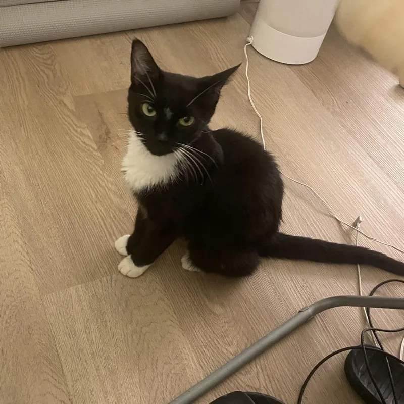 Little Bit thumbnail 4