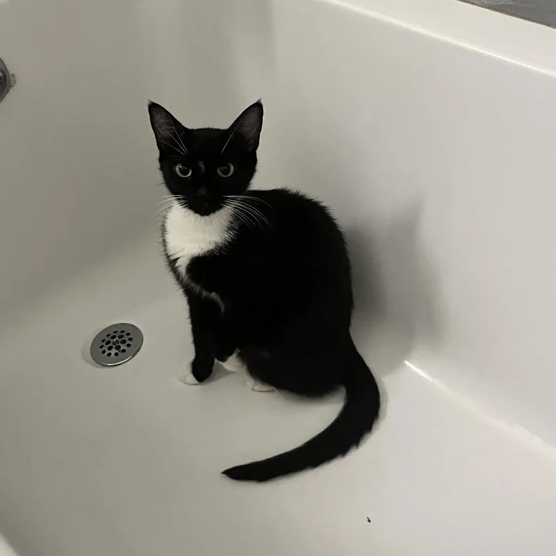 Little Bit thumbnail 5