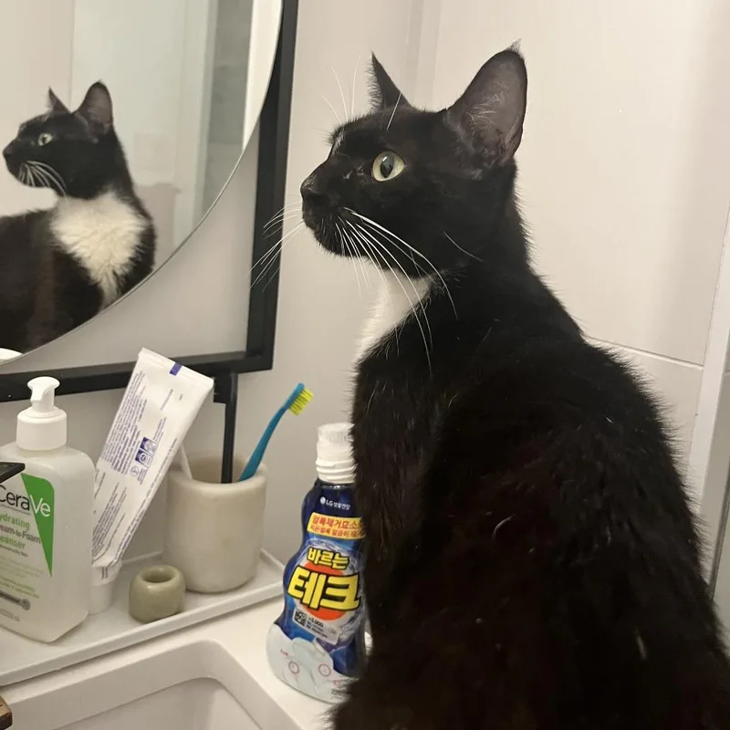 Little Bit thumbnail 6