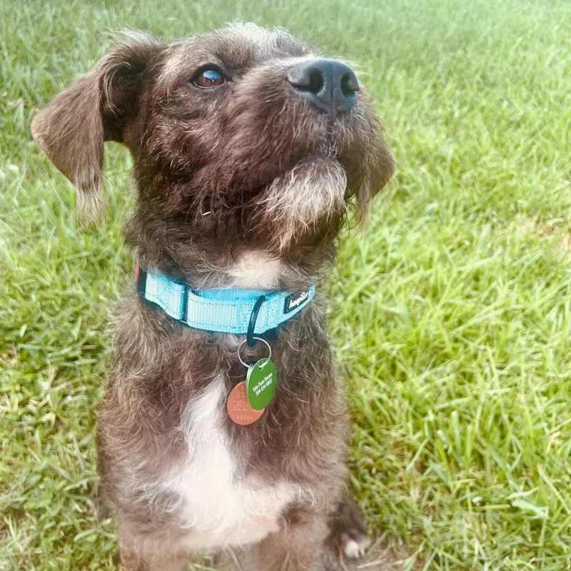 Professor Milo Thatch