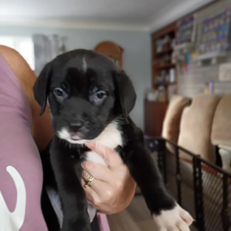 Wiggles thumbnail 2