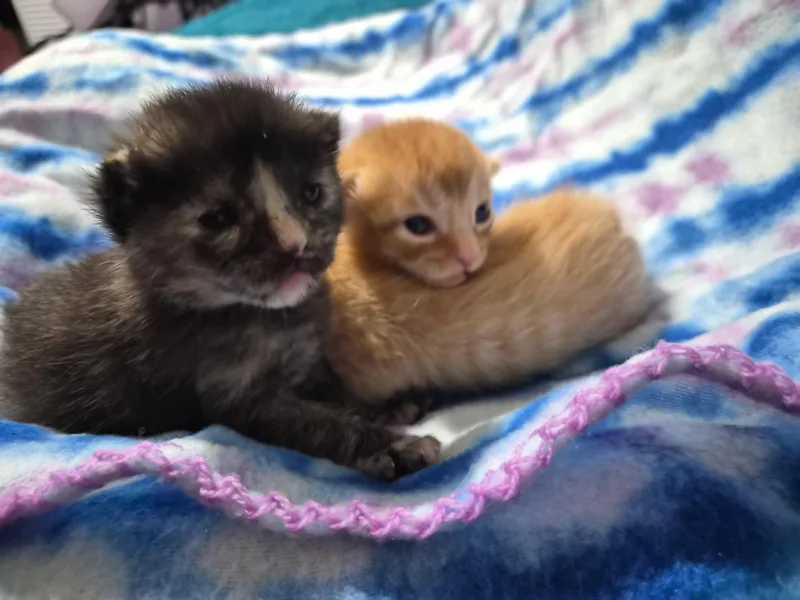 Larry