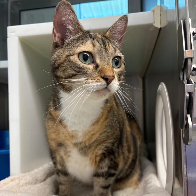 Lucy "Goose" thumbnail 2