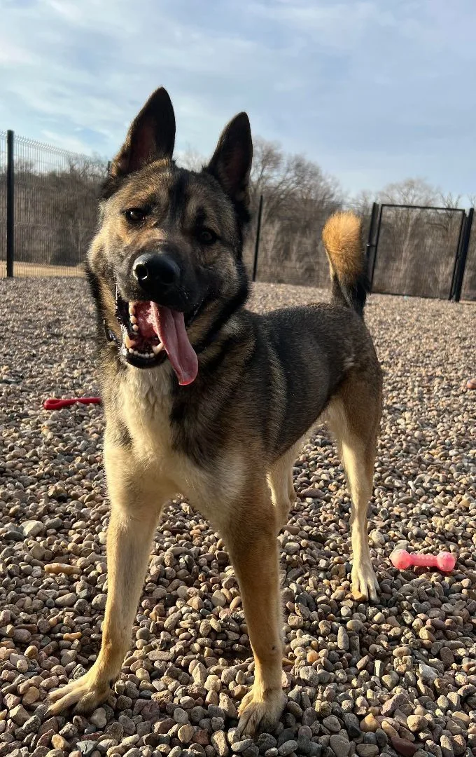 Napawleon H thumbnail 2